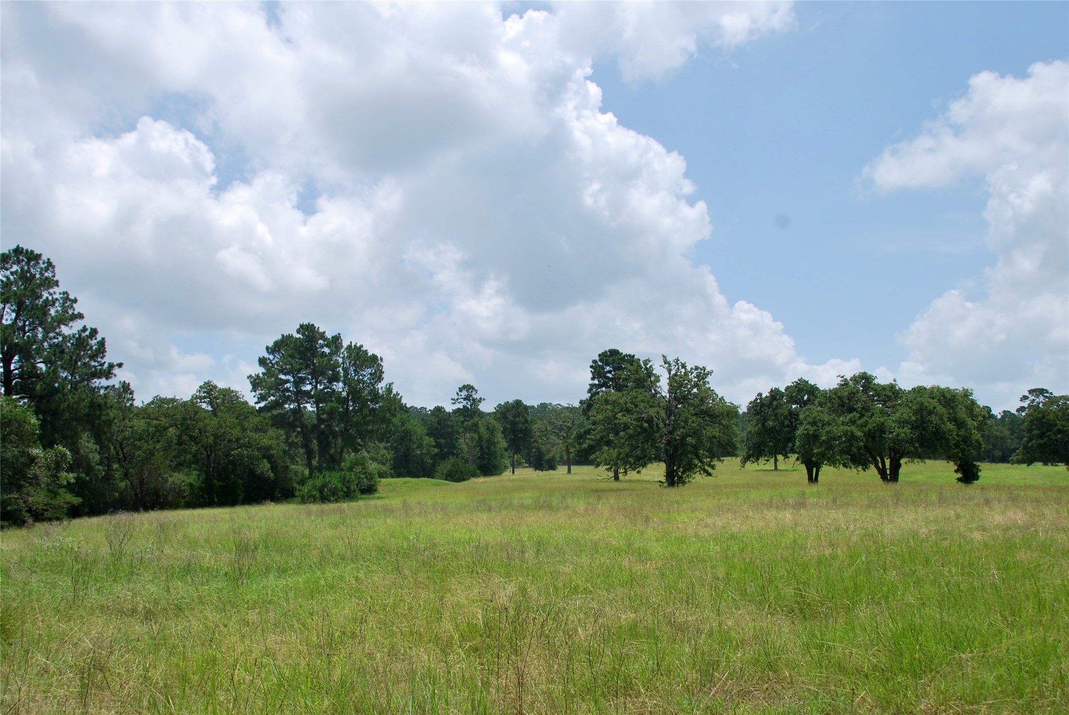Tbd Sandy Road Rosanky, TX 78953 - Photo 9 of 43 a view of a green field with wooden fence