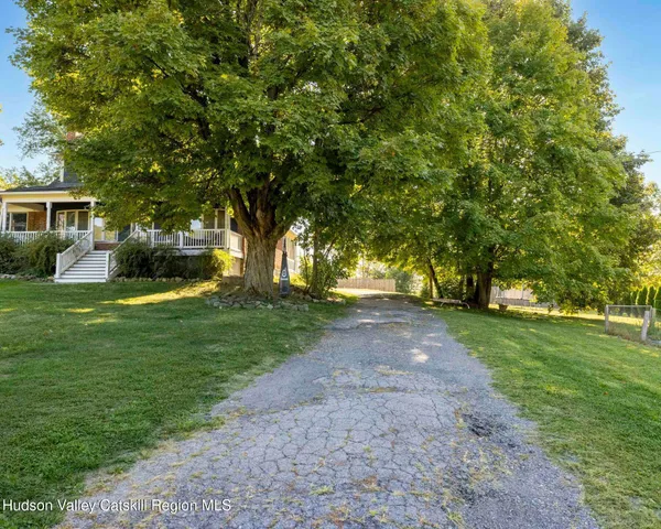 a view of a yard with plants and trees