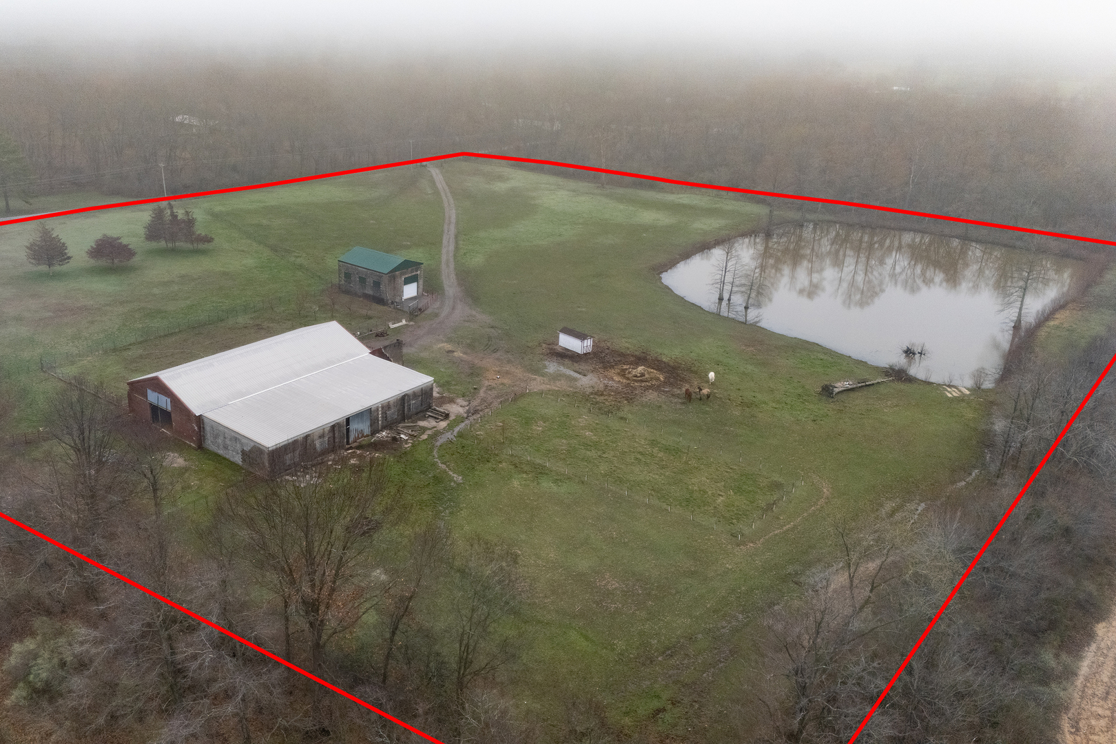 9301 Thomas Street Mulkeytown, IL 62865 - Photo 5 of 20
