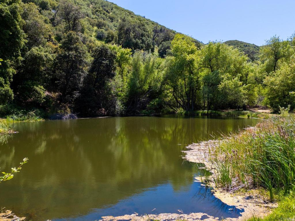 63-acres San Felipe Road Warner Springs, CA 92086 - Photo 13 of 43 a view of a lake with a yard