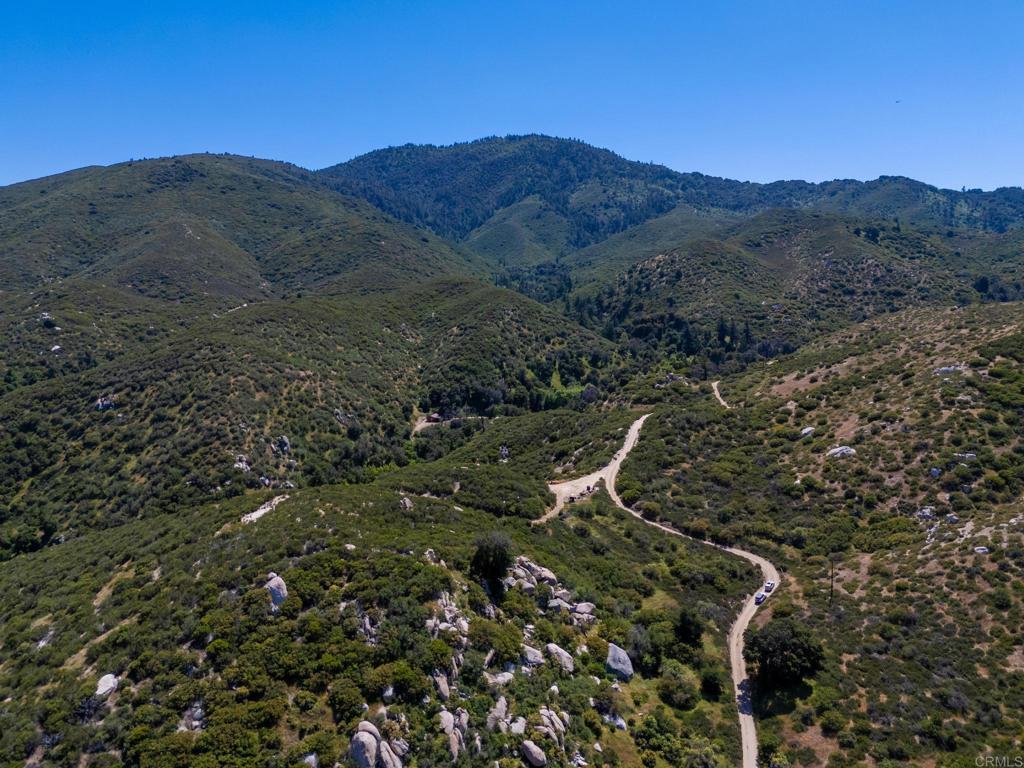 63-acres San Felipe Road Warner Springs, CA 92086 - Photo 38 of 43 a view of a forest with a mountain in the background
