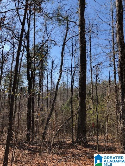 0 Blackjack Road, Unit 24 Trussville, AL 35173 - Photo 21 of 21
