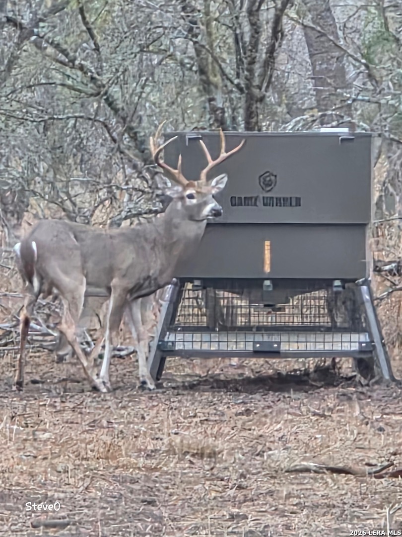0 Cr 241 Three Rivers, TX 78071 - Photo 18 of 19