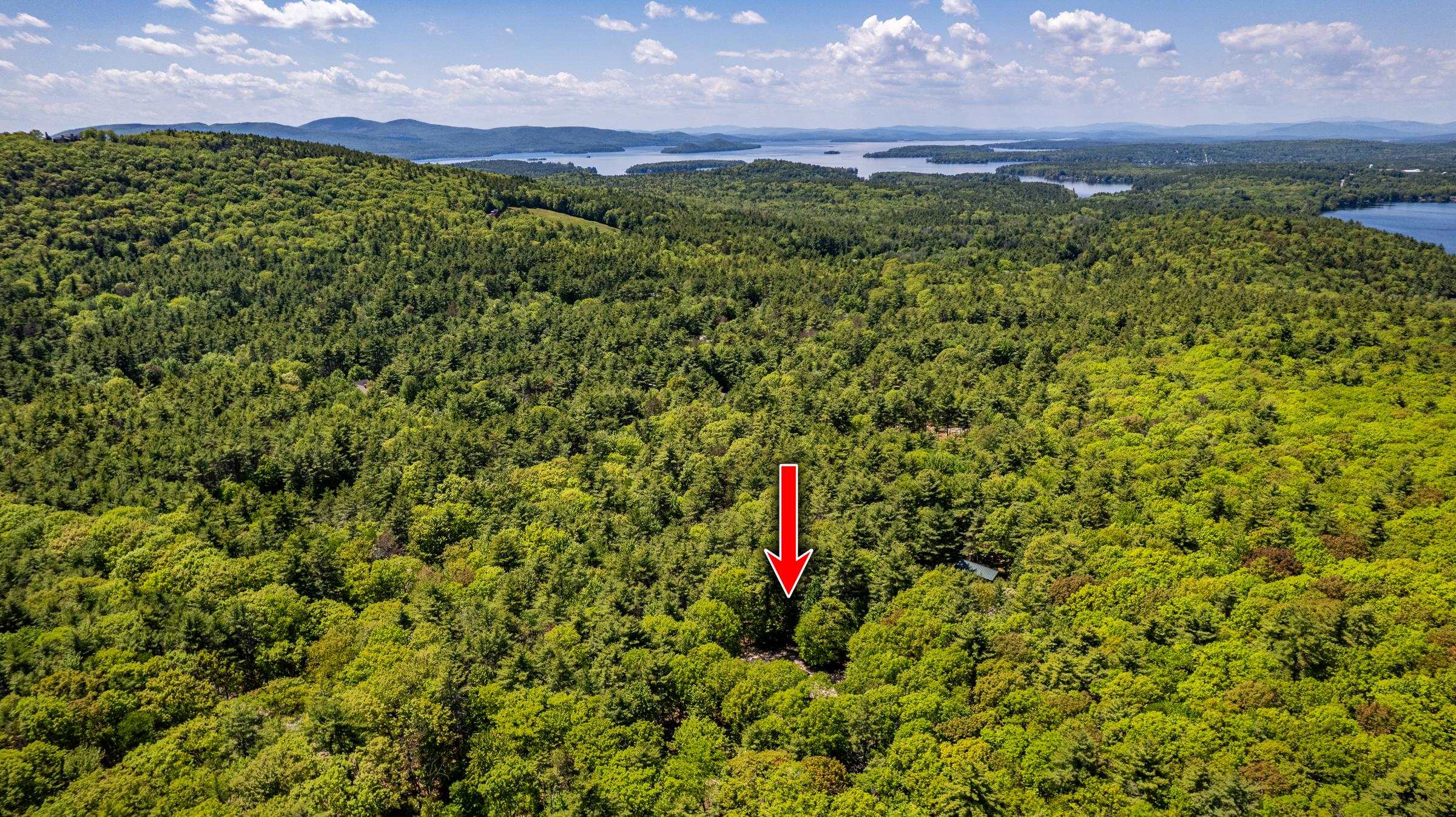 338 Middleton Road Wolfeboro, NH 03894 - Photo 6 of 60