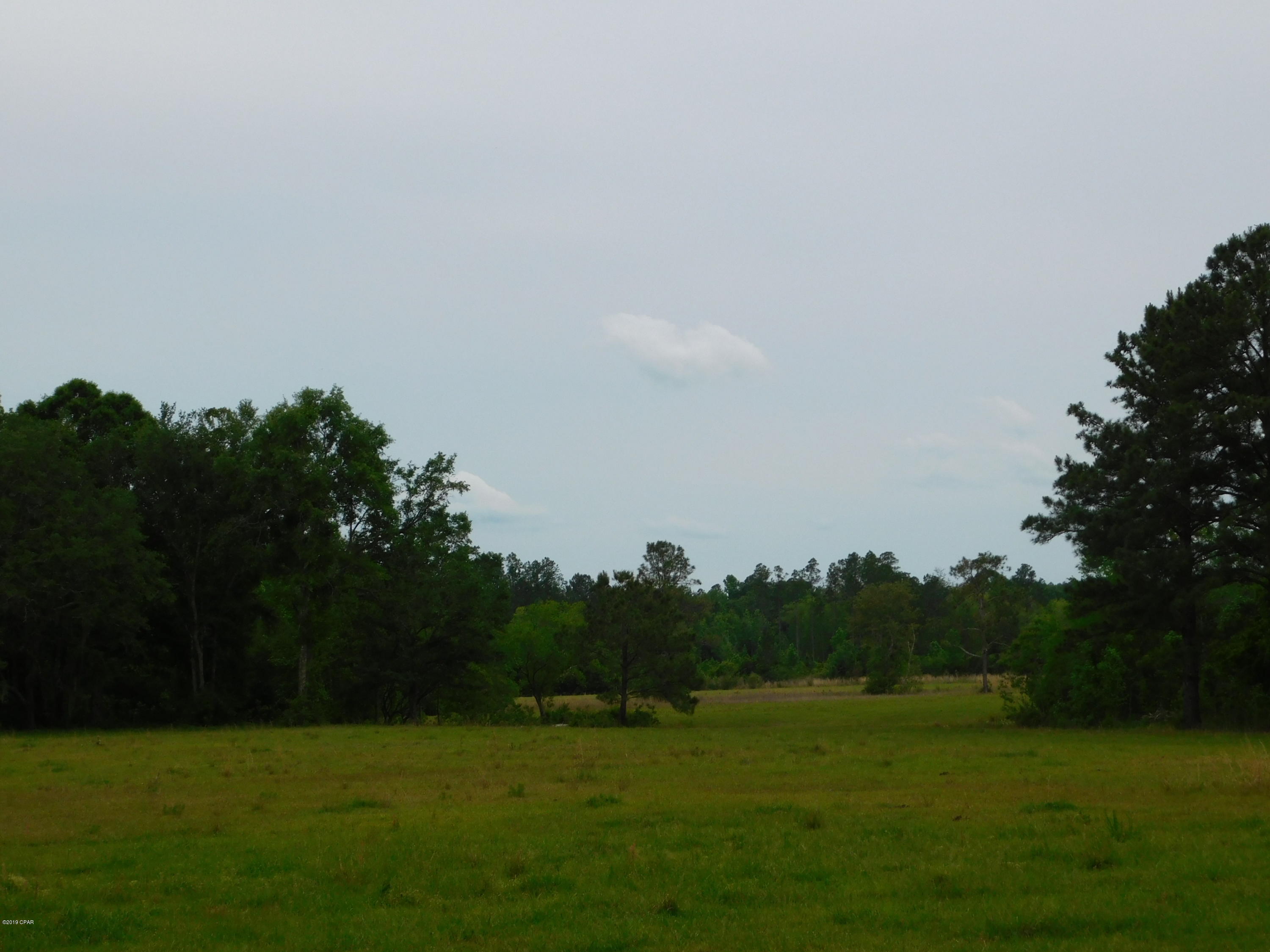 2515 River Road Caryville, FL 32427 - Photo 42 of 56 Gallery Image 42