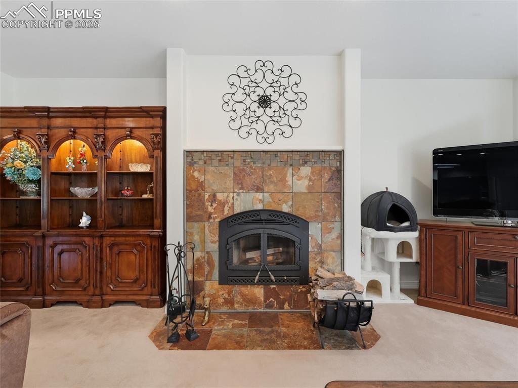 12855 Murphy Road Elbert, CO 80106 - Photo 11 of 50 a living room with fireplace furniture and a flat screen tv