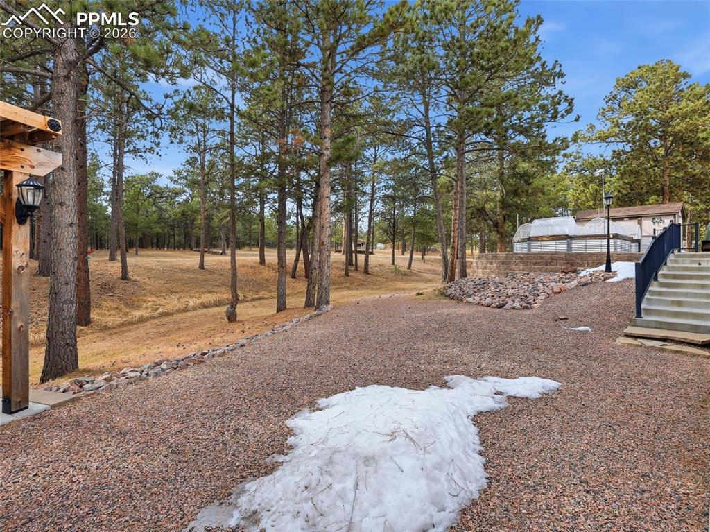 12855 Murphy Road Elbert, CO 80106 - Photo 42 of 50 a view of road and trees
