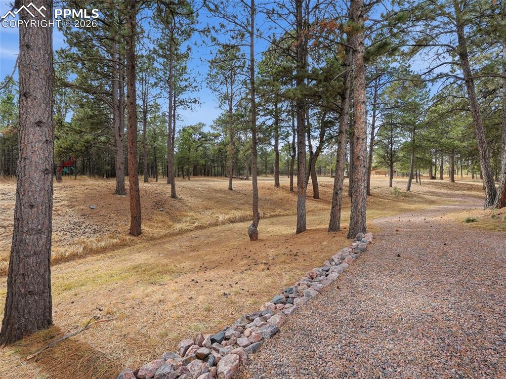 12855 Murphy Road Elbert, CO 80106 - Photo 43 of 50 a view of empty space with trees