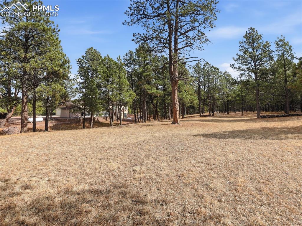 12855 Murphy Road Elbert, CO 80106 - Photo 44 of 50 a view of road with trees