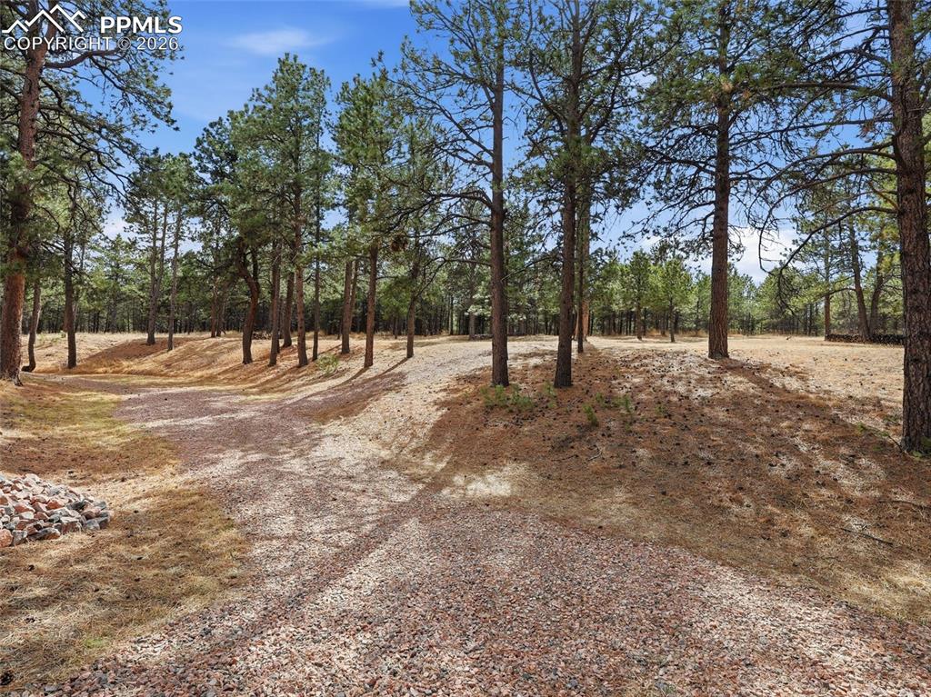 12855 Murphy Road Elbert, CO 80106 - Photo 45 of 50 a view of empty space with trees