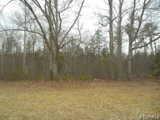 20075 Rainey Road Dinwiddie, VA 23841 - Photo 10 of 10 a view of patio