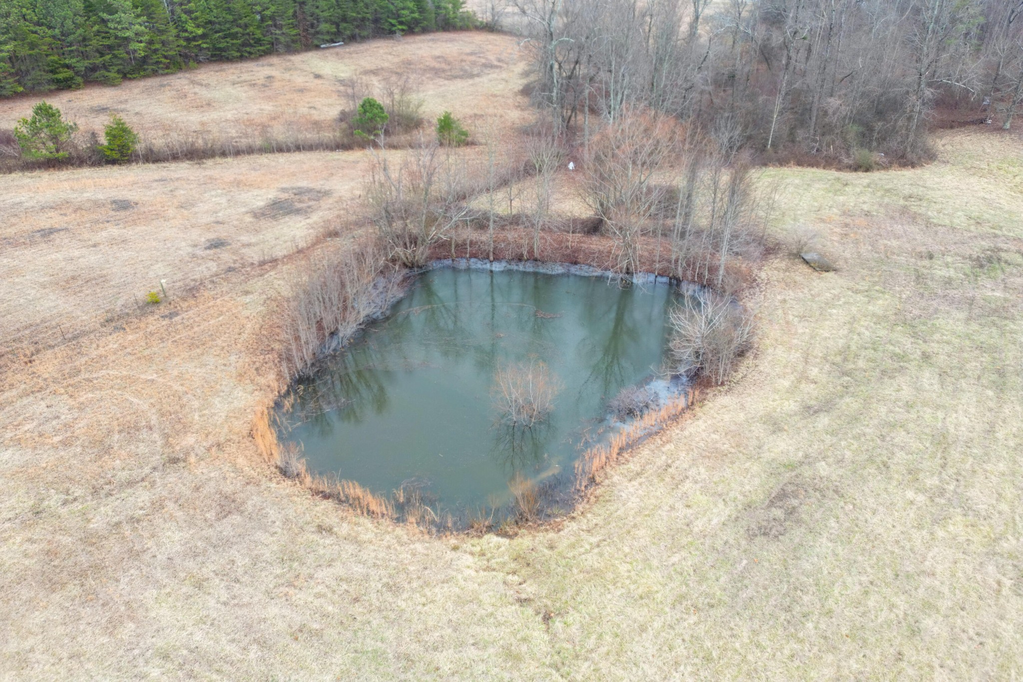 845 Michaels Road Trenton, GA 30752 - Photo 6 of 38 Gallery Image 6