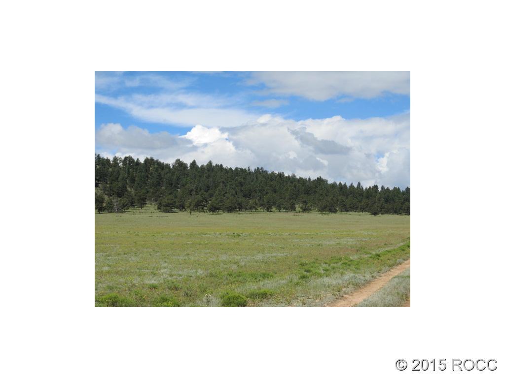 2617 Mesa Road Hartsel, CO 80449 - Photo 1 of 5 Gallery Image 1