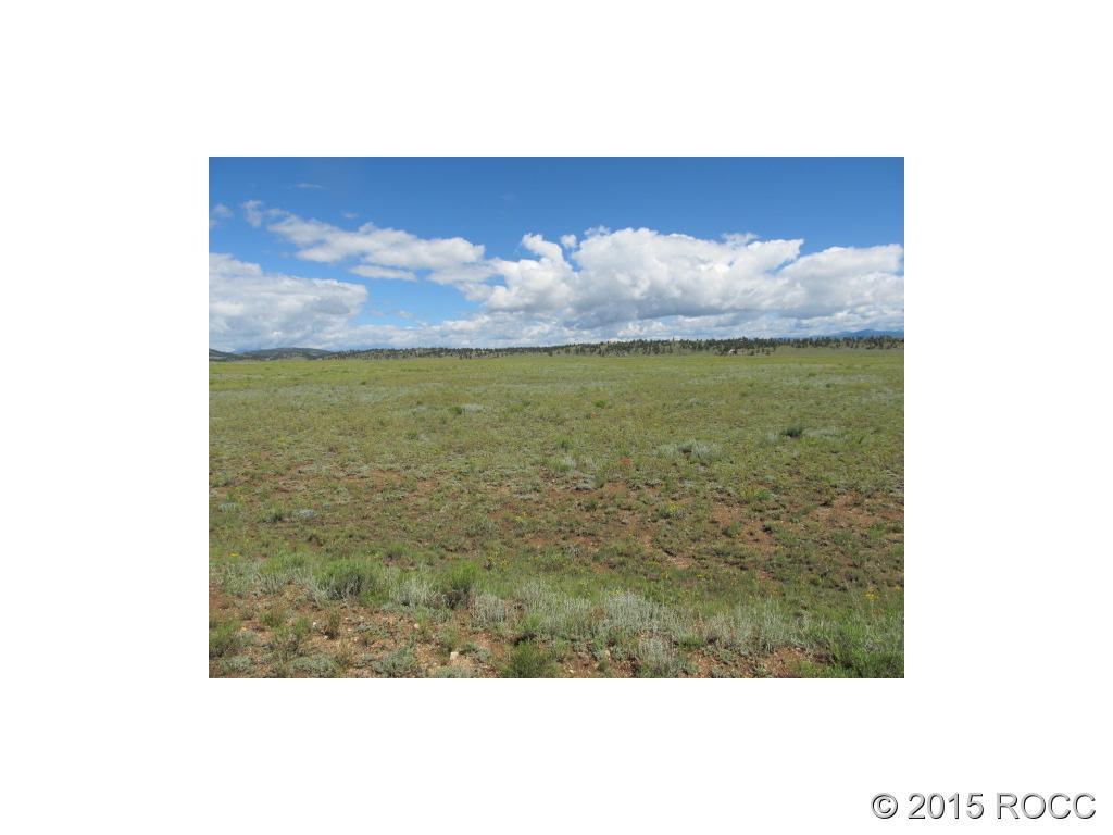 2617 Mesa Road Hartsel, CO 80449 - Photo 3 of 5 Gallery Image 3