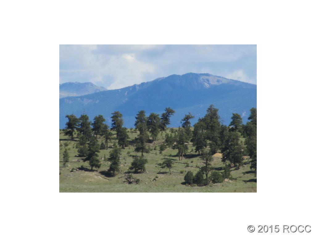 2617 Mesa Road Hartsel, CO 80449 - Photo 4 of 5 Gallery Image 4