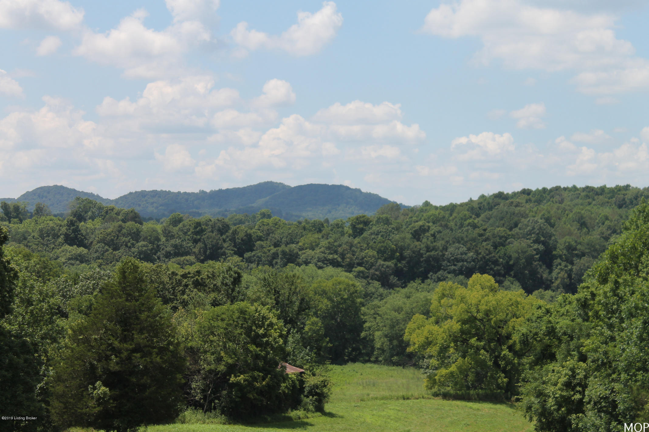 1000 Figett Bend Road Canmer, KY 42722 - Photo 10 of 61 IMG_2287