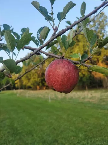 $790,000 | 28605 East 239th Street, Harrisonville, MO 64701