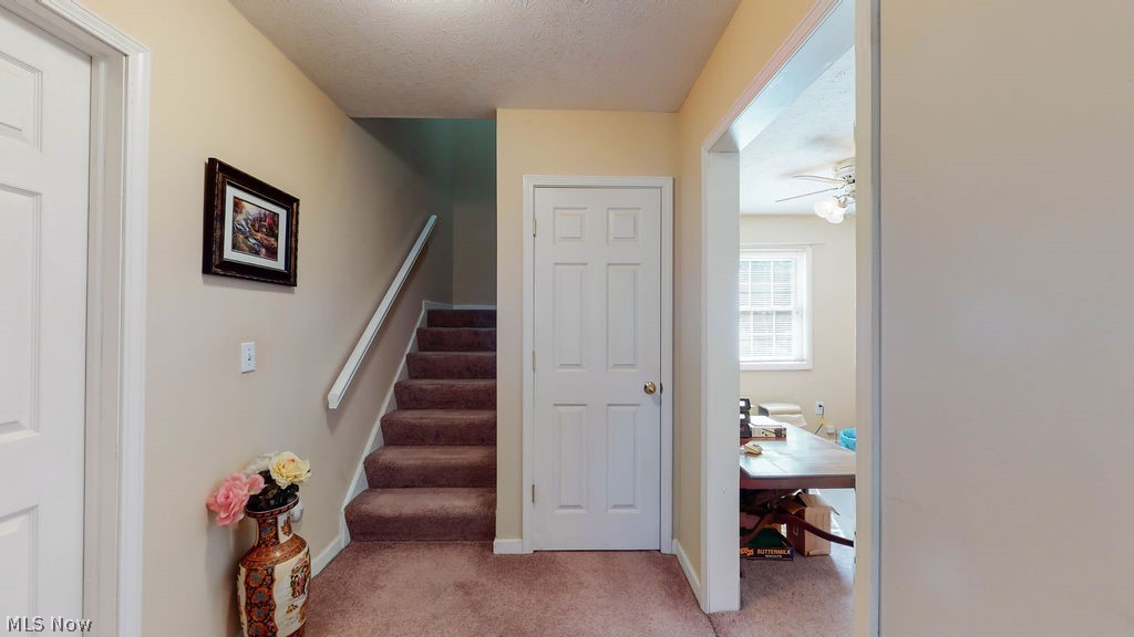 15880 Rapids Road Burton, OH 44021 - Photo 19 of 35 Gallery Image 19