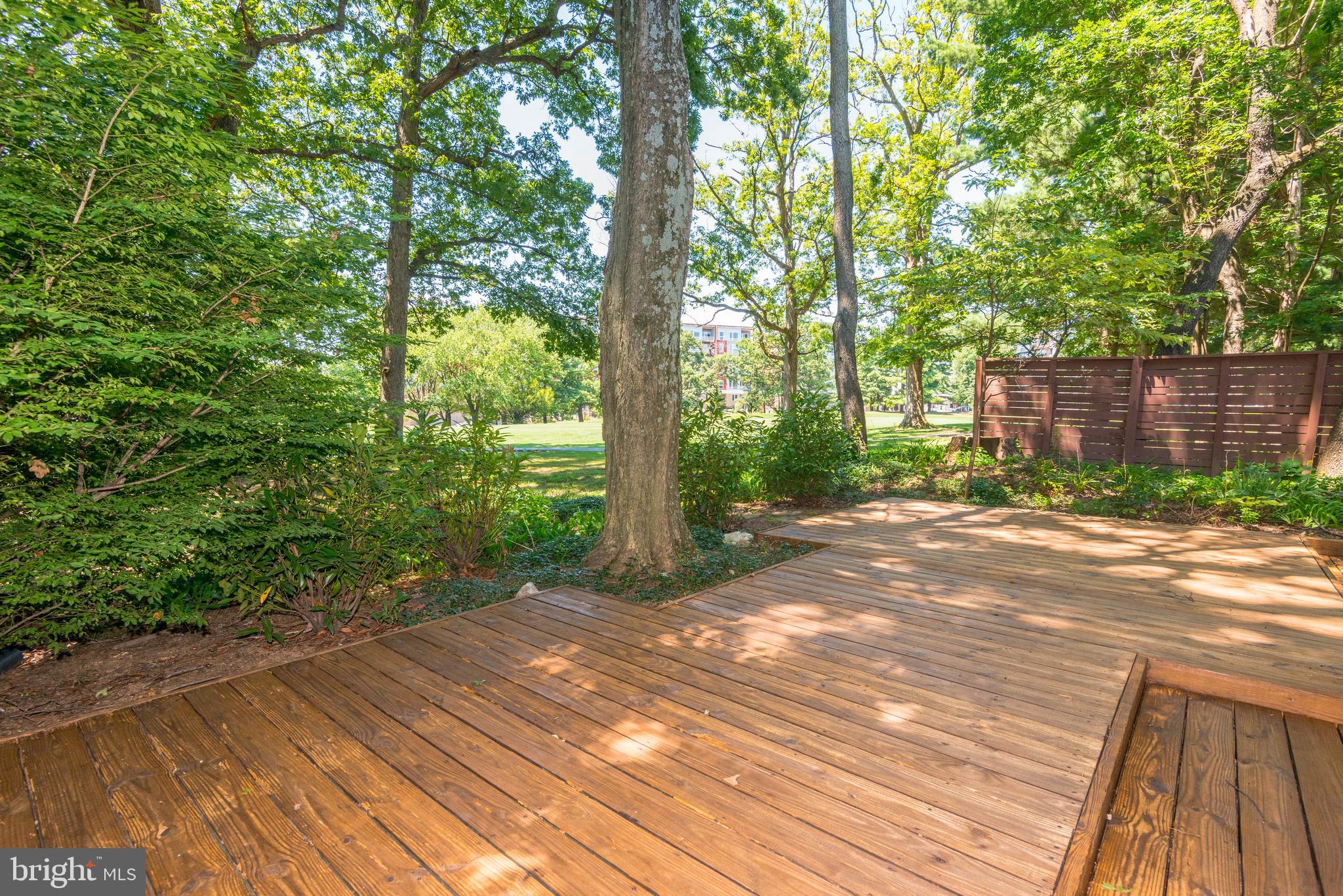 11799 Indian Ridge Road Reston, VA 20191 - Photo 54 of 62