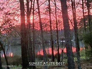 109 Osprey Bay Road Washington, NC 27889 - Photo 56 of 57 IMG_3502