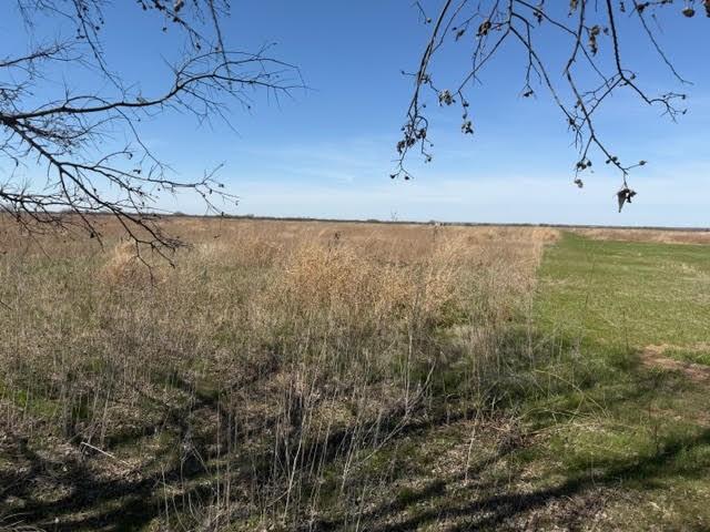 Lot 3 G Loop Road Olney, TX 76374 - Photo 4 of 11