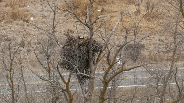 $545,000 | 30272 Co Highway 61, Henning, MN 56551