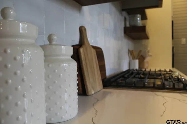 a close view of a sink and a potted plant
