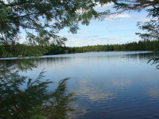 192 Route192 Machias, ME 04654 - Photo 1 of 6 Photo