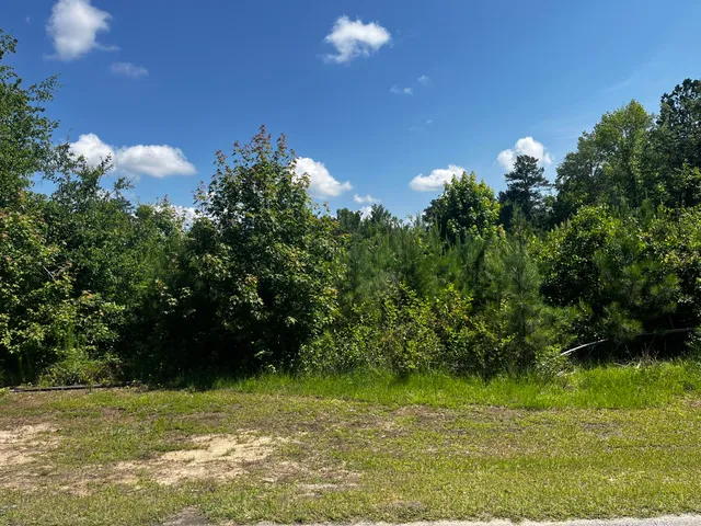 $40,000 | 0 Young Street, Wrens, GA 30833