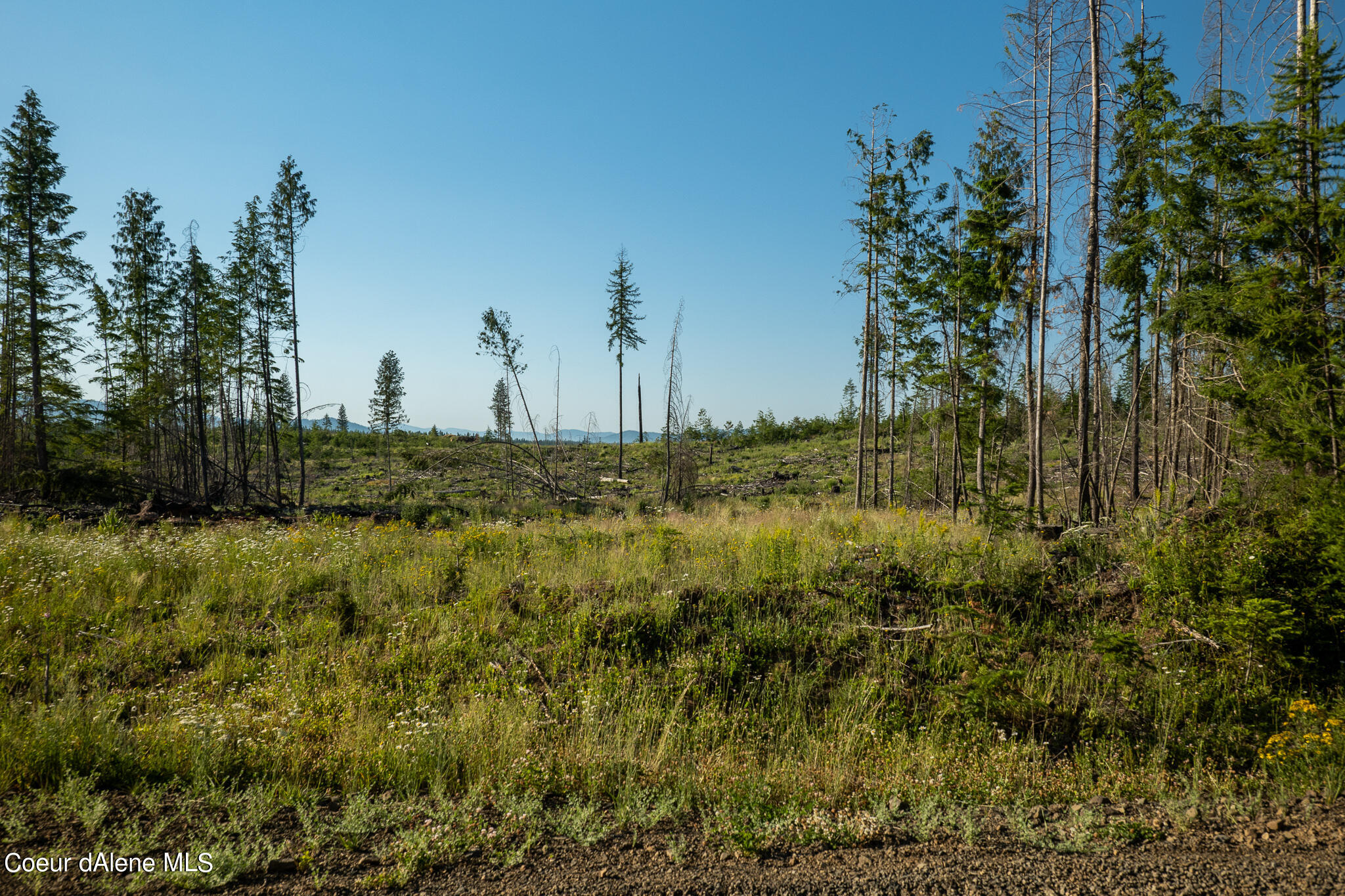 Lot 9 Sportsman Rd Street St. Maries, ID 83861 - Photo 1 of 1 Front View