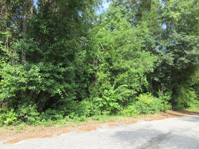 974 Meadowbrook Road Sumter, SC 29153 - Photo 4 of 9 Photo 5