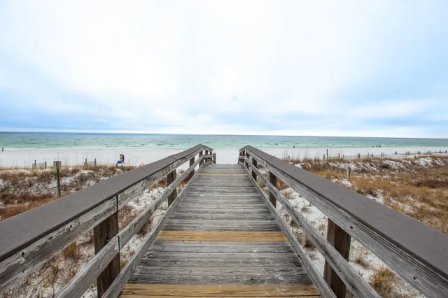 a view of a yard with a house