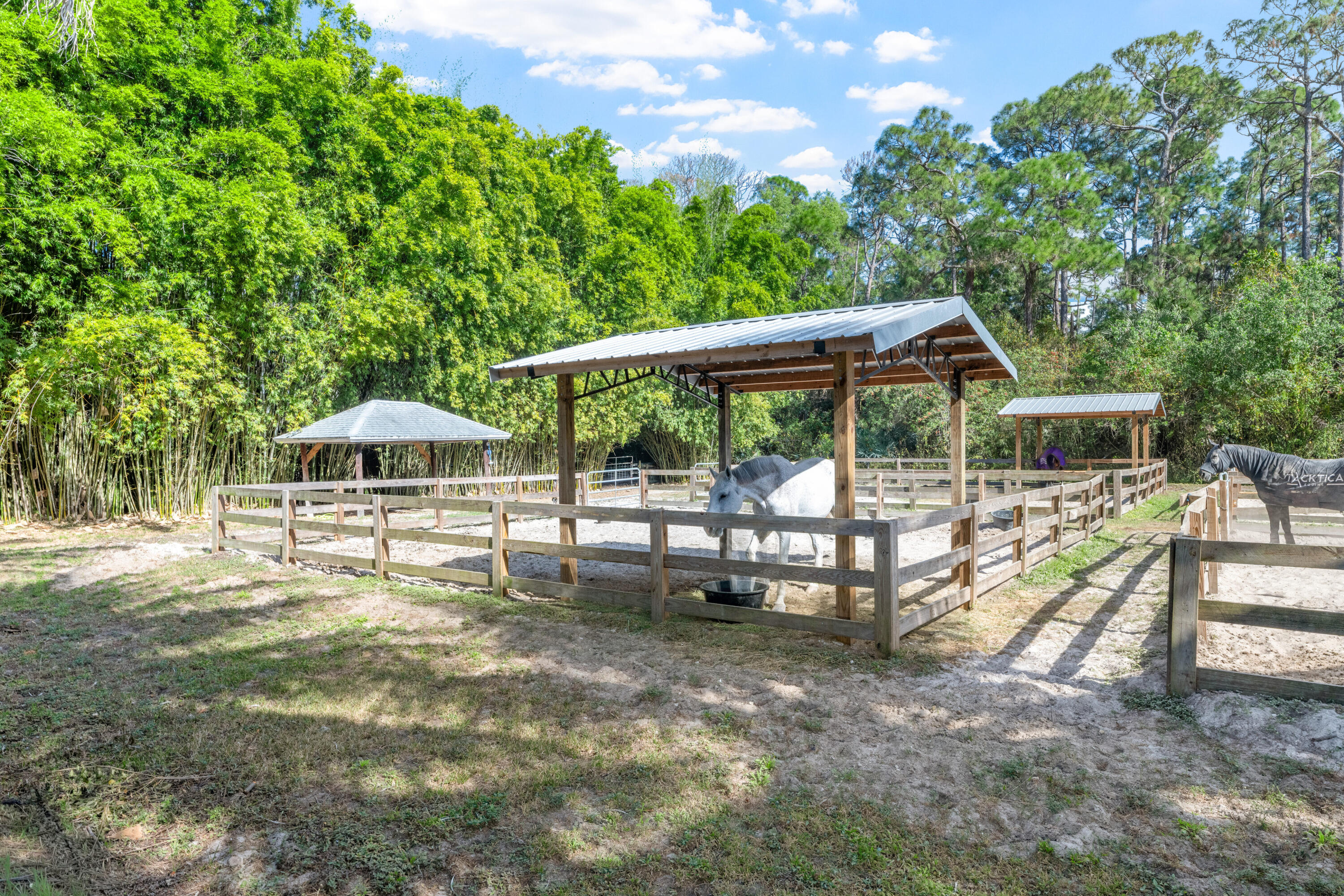 1068 D Road Loxahatchee, FL 33470 - Photo 71 of 73 a view of a swimming pool with a patio and a yard