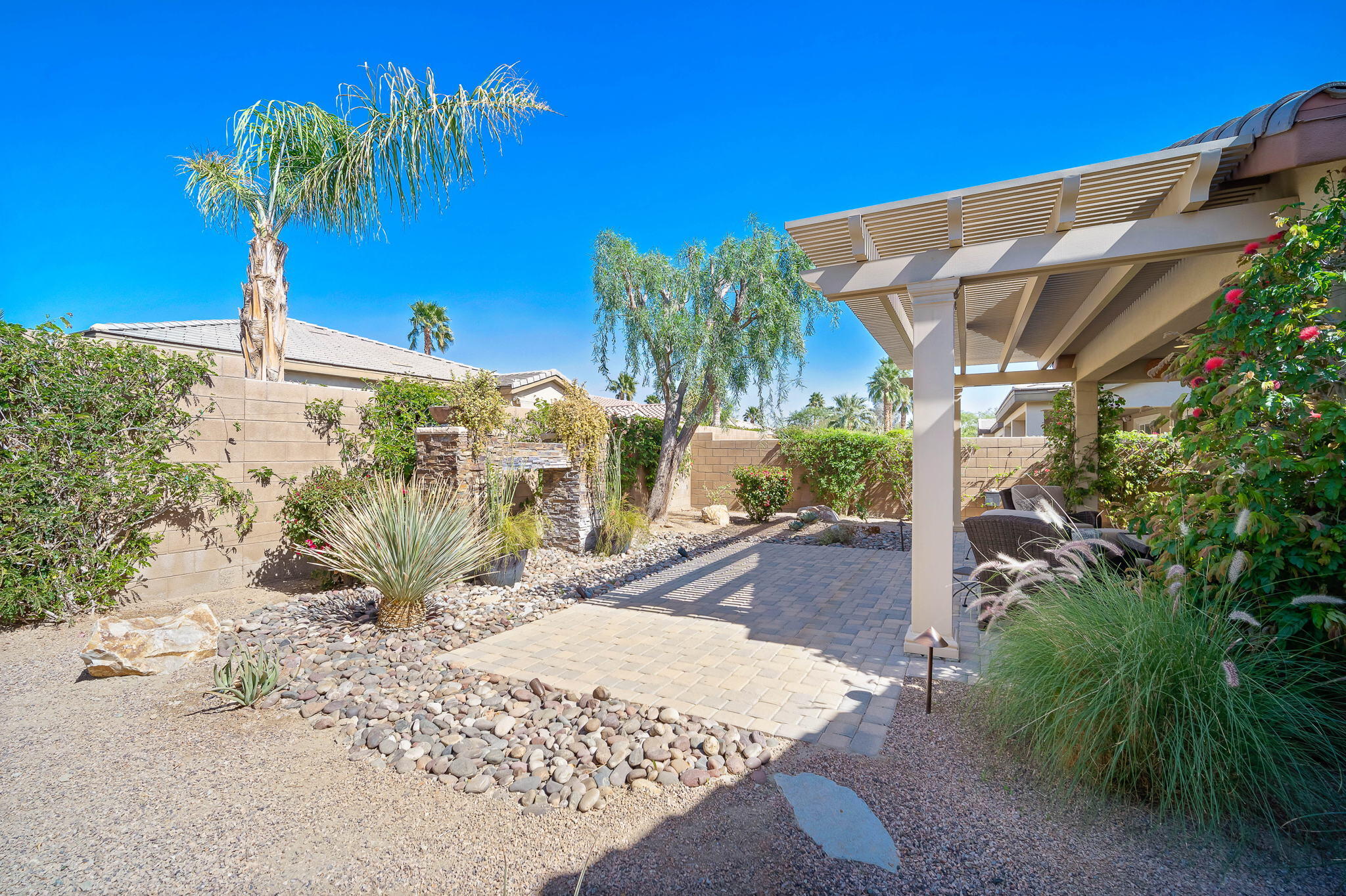 81820 Rustic Canyon Drive La Quinta, CA 92253 - Photo 40 of 85 a view of a palm tree next to a yard