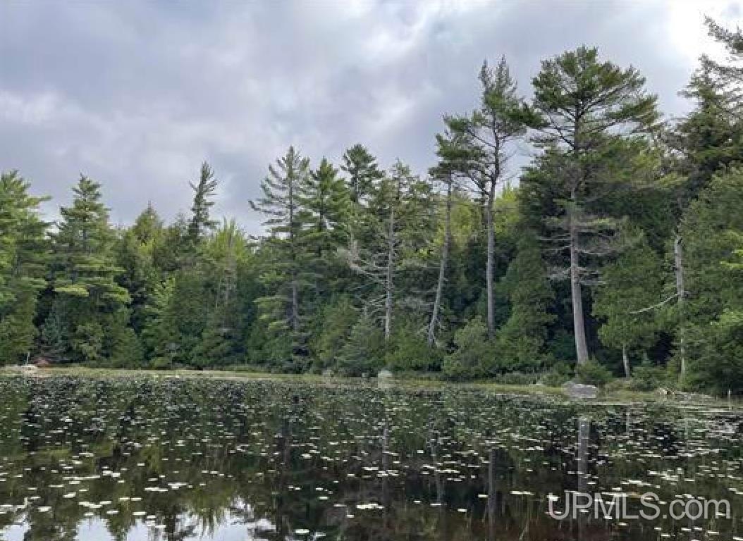 Tbd Tbd Loon Lake Road Michigamme, MI 49861 - Photo 7 of 10