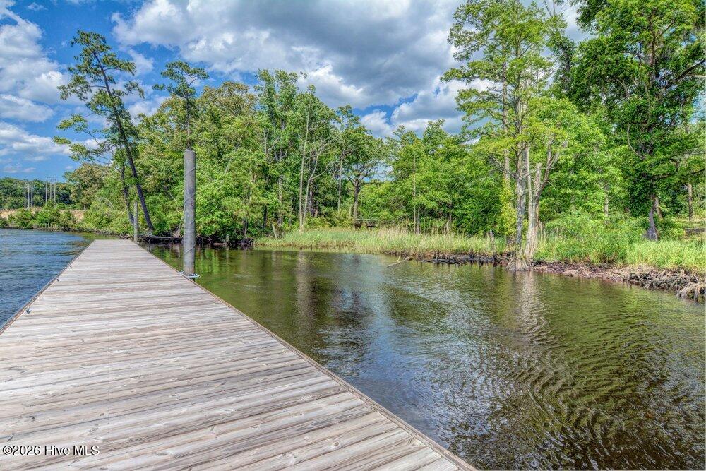 3610 Chair Road Castle Hayne, NC 28429 - Photo 69 of 101 068_dsc_2340_1_2_660