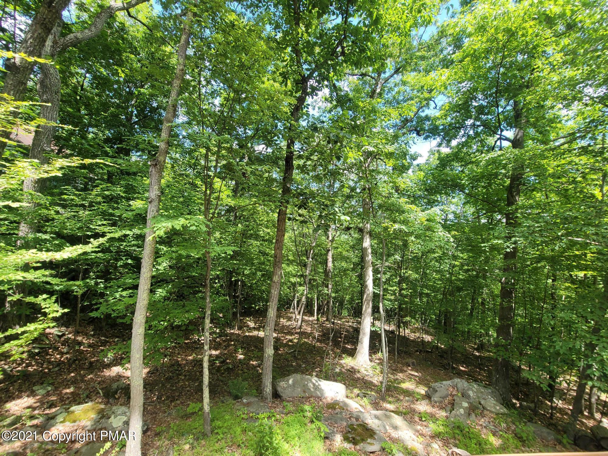 3153 Cherry Ridge Road Bushkill, PA 18324 - Photo 35 of 41 a backyard of a house with lots of green space