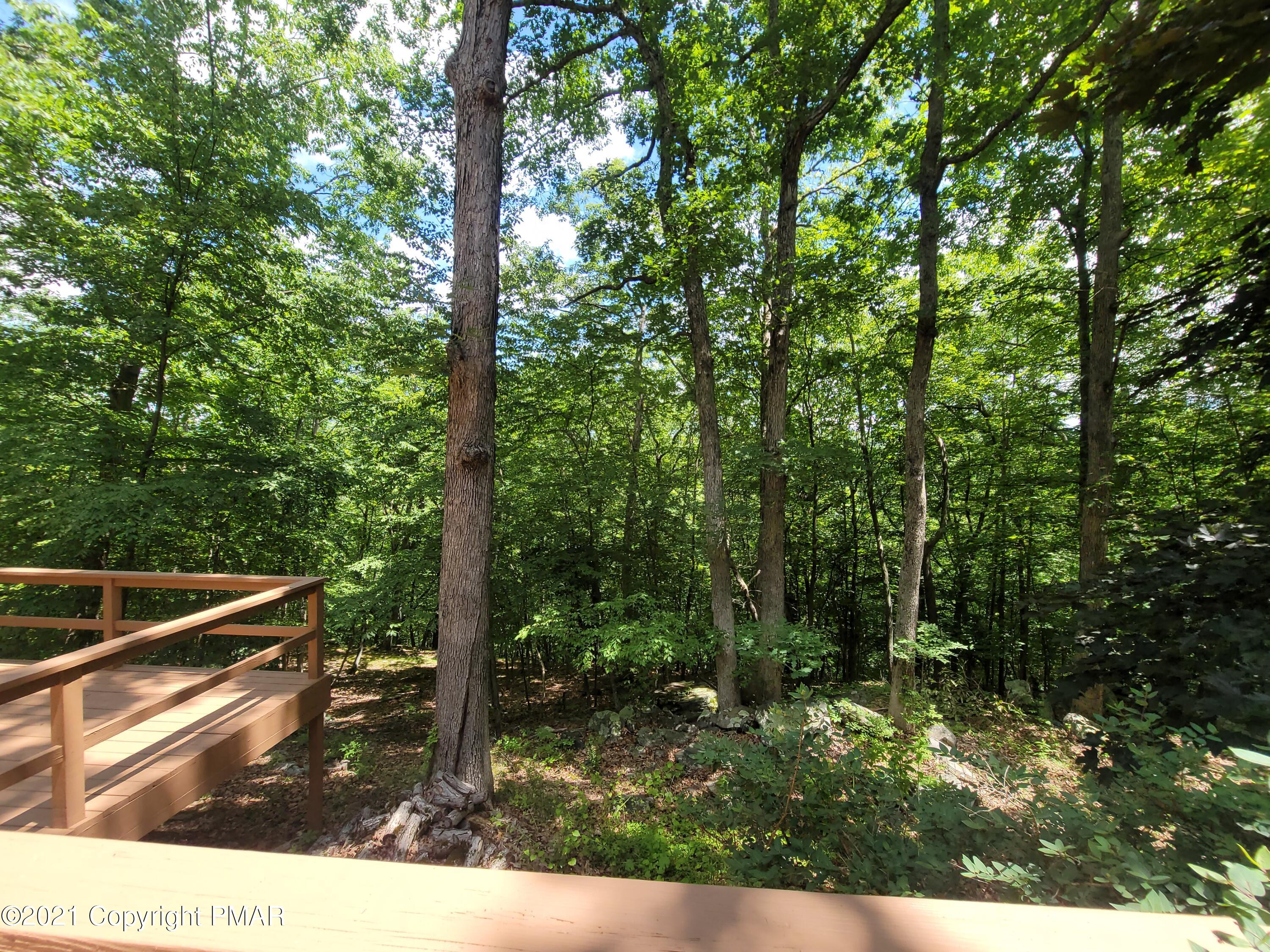 3153 Cherry Ridge Road Bushkill, PA 18324 - Photo 37 of 41 a view of forest