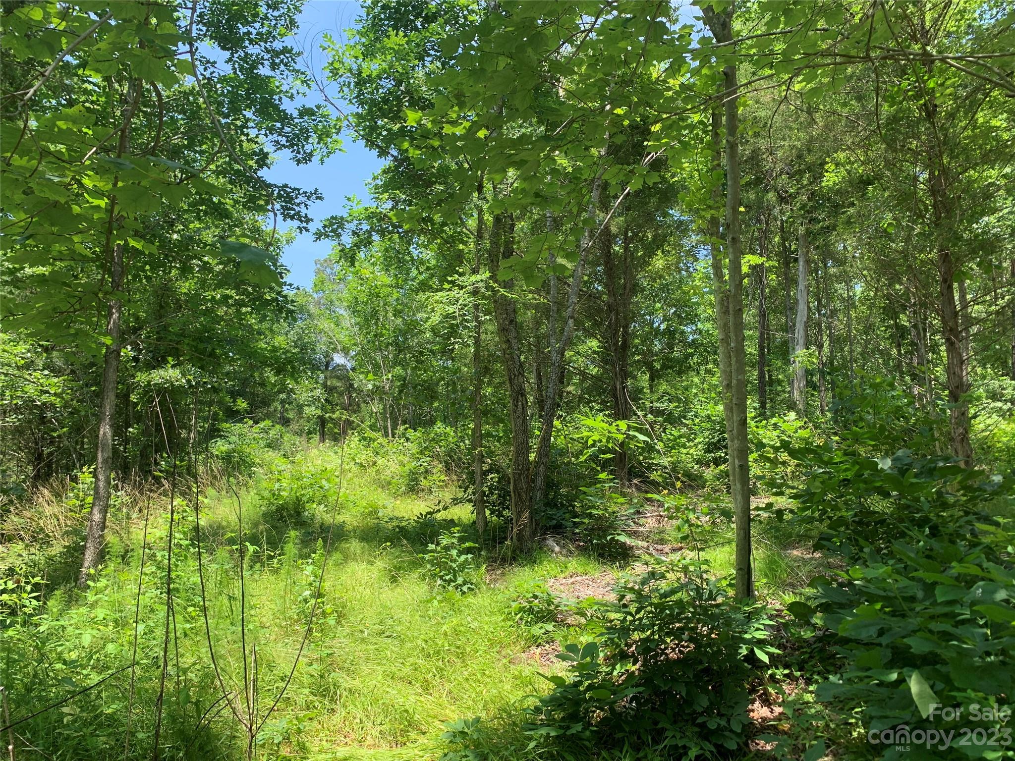 7910 Elegant Ests Drive, Unit 4 Mount Pleasant, NC 28124 - Photo 2 of 3 a view of a lush green forest
