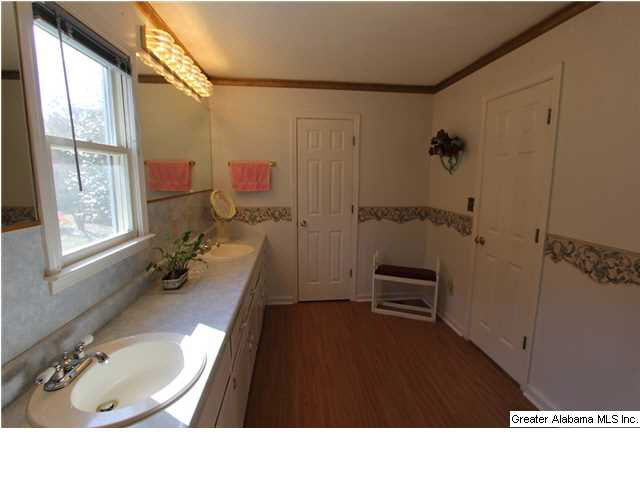 1019 County Road 233 Fruithurst, AL 36262 - Photo 10 of 32