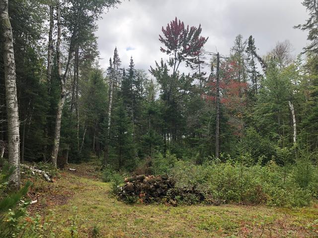 6918 Wildcat Road Presque Isle, WI 54557 - Photo 25 of 25 Gallery Image 25