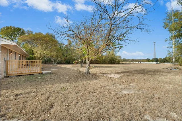 a view of a yard with a tree