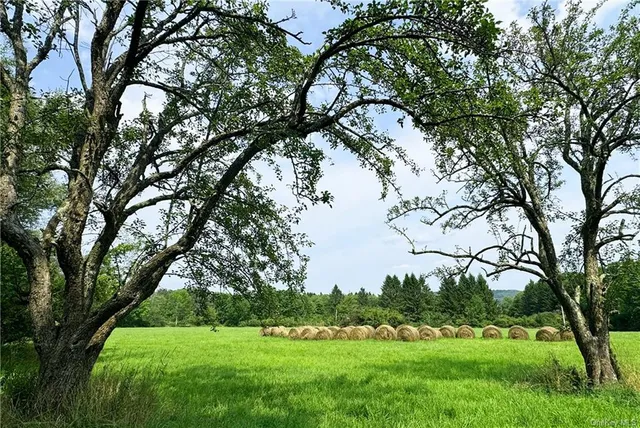 $99,000 | 0 Beech Woods, Unit WOODS, Callicoon, NY 12723