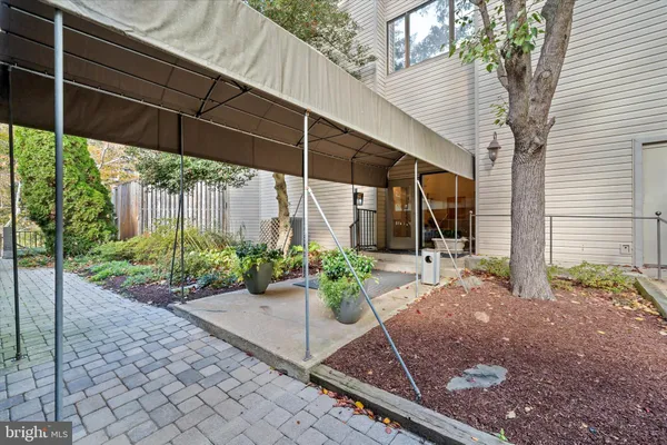 a potted plant sitting in front of a house