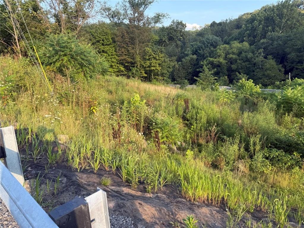 Lot 490 Freedom Crider Road Freedom, PA 15042 - Photo 11 of 11 a view of a garden with plants