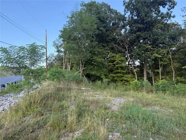 a view of outdoor space and green space