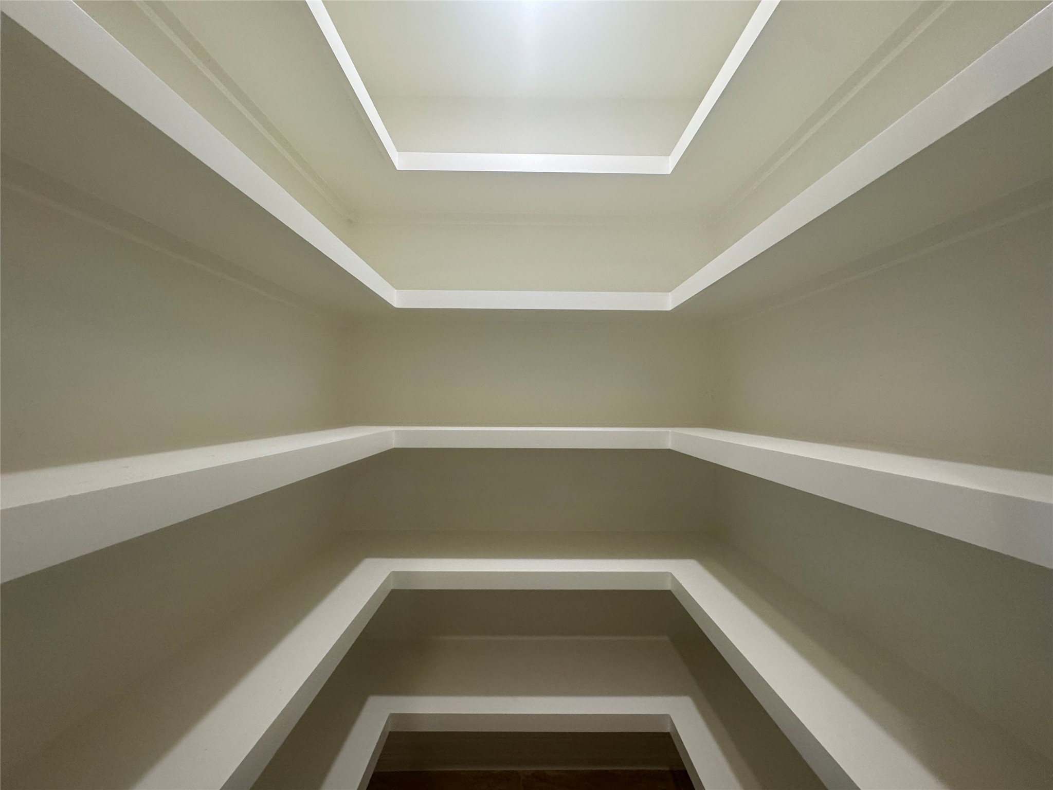 2010 Cherry Laurel Spring, TX 77386 - Photo 33 of 45 Walk-in pantry