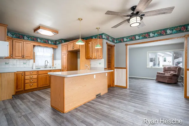 $189,900 | 213 East Lytle Street, Ionia, MI 48846