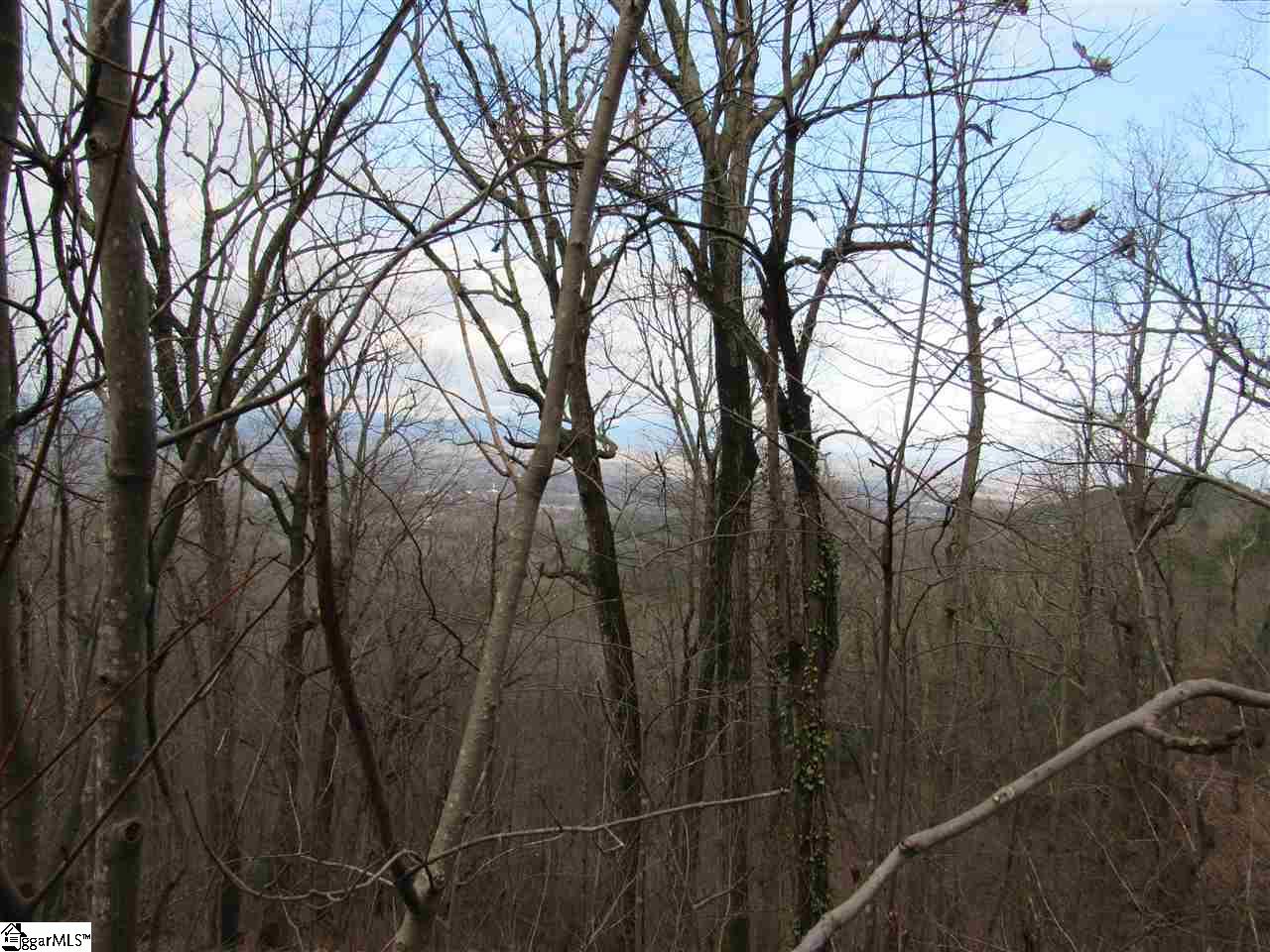 1701 Altamont Road Greenville, SC 29609 - Photo 12 of 36