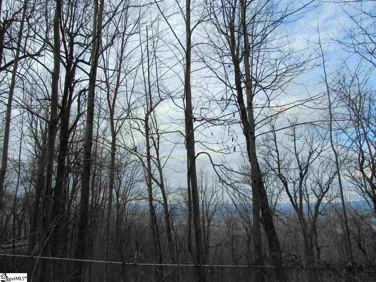 1701 Altamont Road Greenville, SC 29609 - Photo 15 of 36